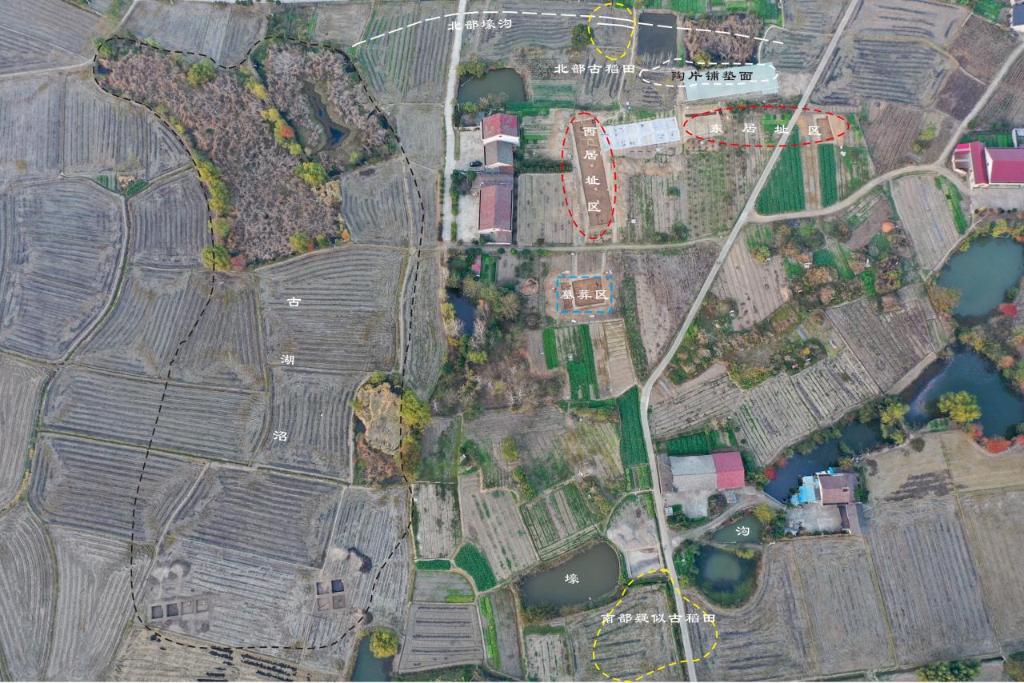 的先民8000多年前就在种水稻mg不朽情缘游戏平台实锤！这里(图2)