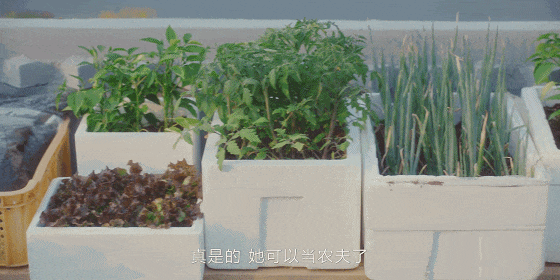 品大胆谈性！每一集尺度都大得瞳孔地震不朽情缘电子游戏韩剧杀疯了！卖情趣用(图10)