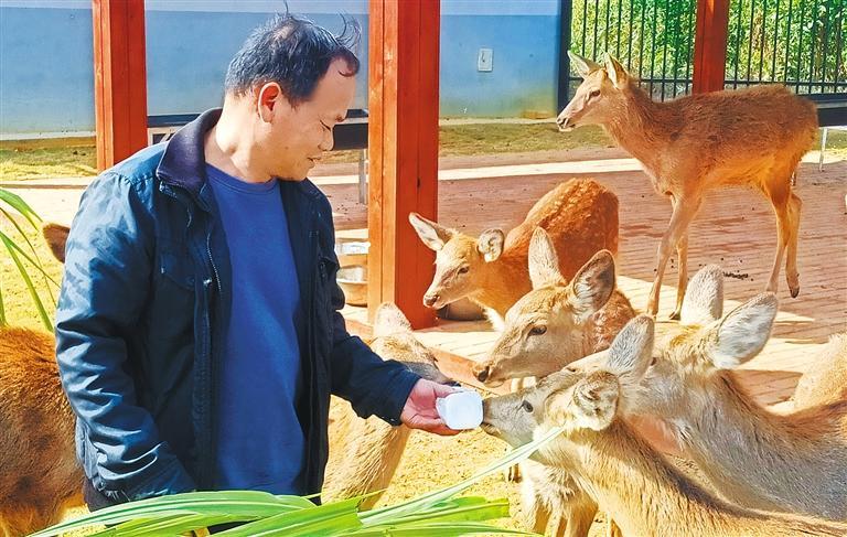 发展产业调研】林下生金不朽情缘登录【高质量(图3)